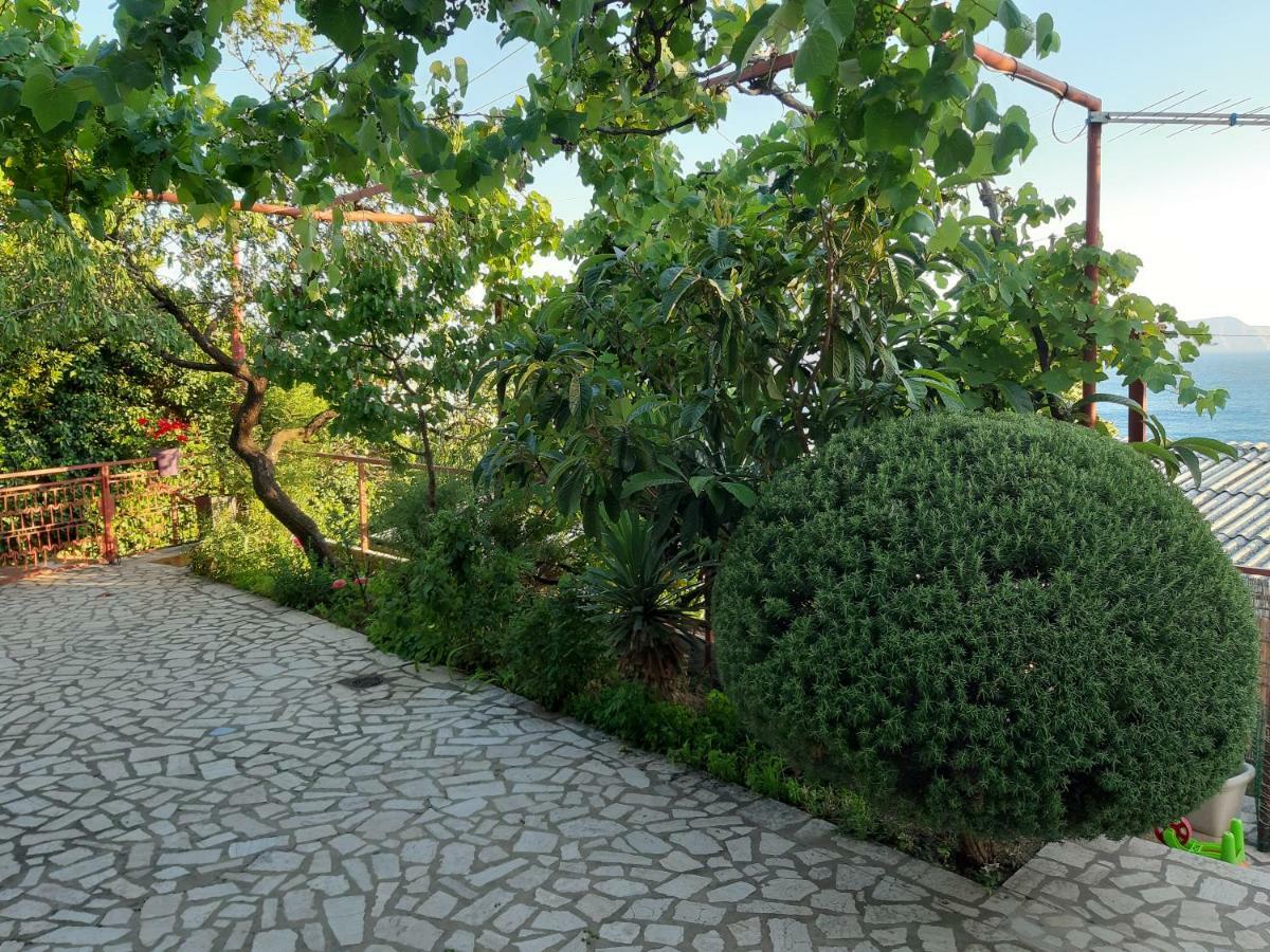 Ruza Apartment เซนญ์ ภายนอก รูปภาพ