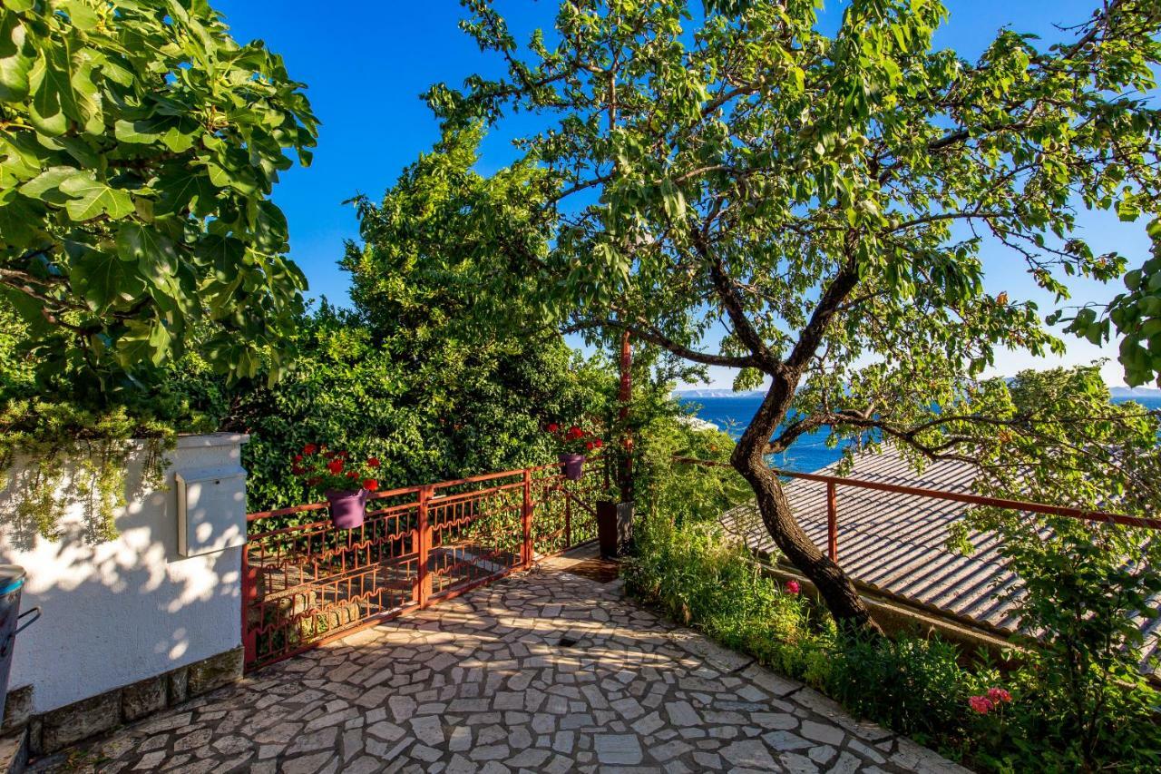 Ruza Apartment เซนญ์ ภายนอก รูปภาพ